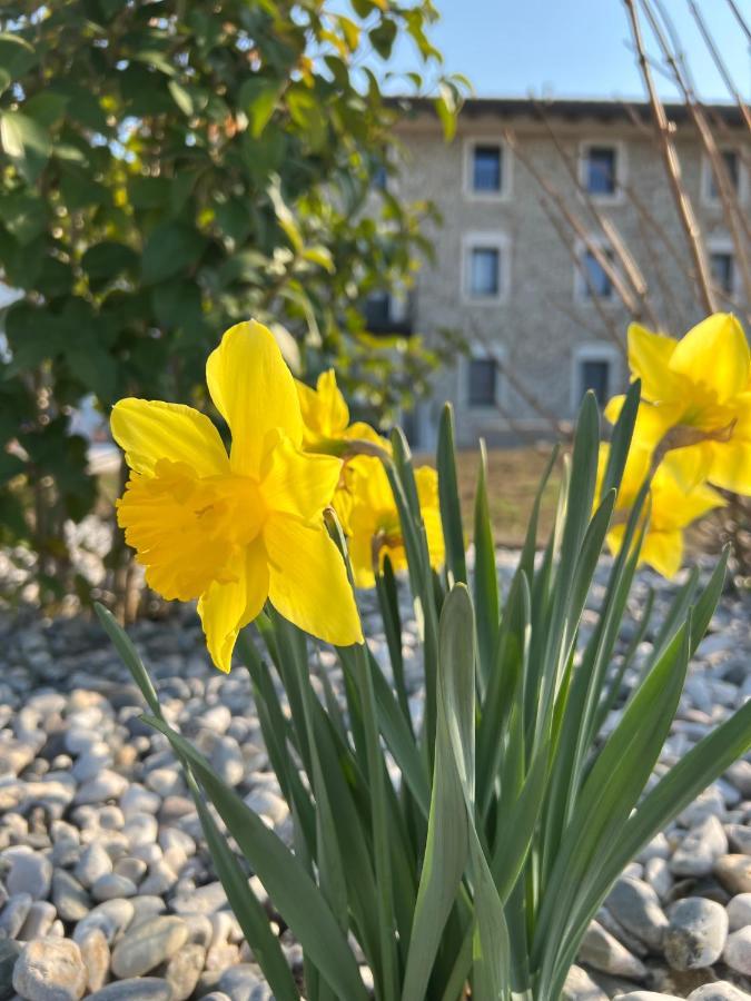 Готель Atmosfere Charme & Country Borgo San Mauro Екстер'єр фото
